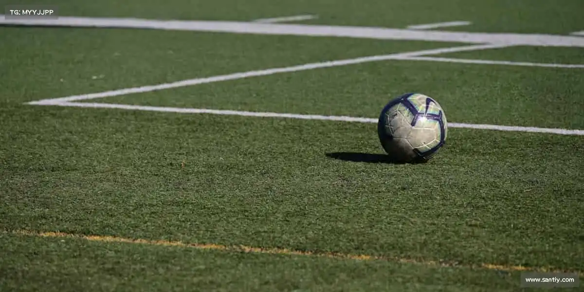 行业领先的理由